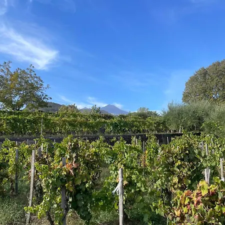 Le Dimore Del Corso Ad Acireale, Fra Catania, Taormina, Il Mare E L'etna *